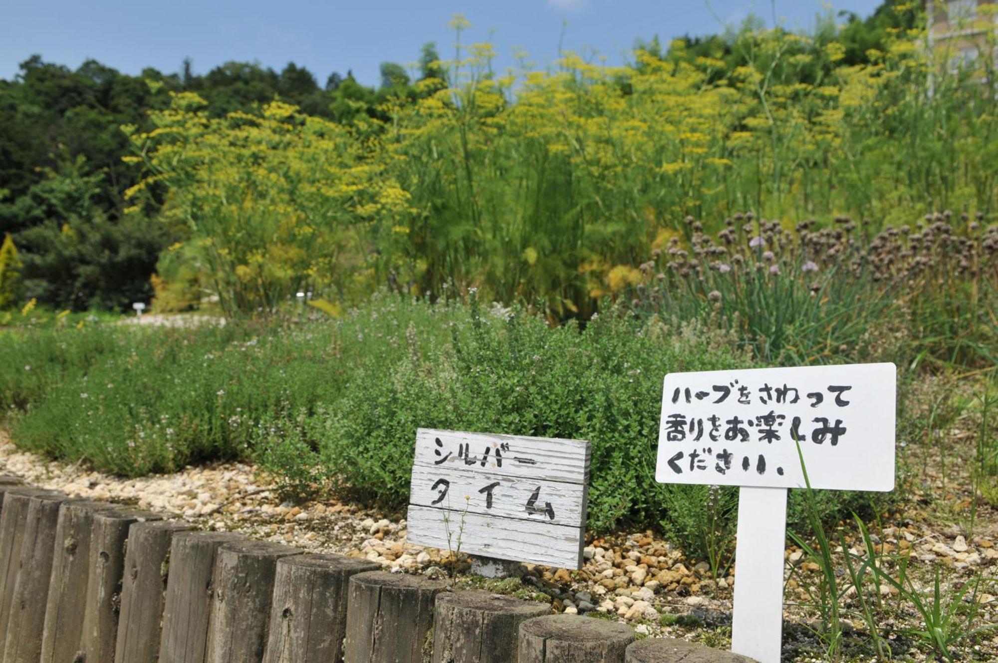 Hashidate Bay Hotel Yosano Exterior foto